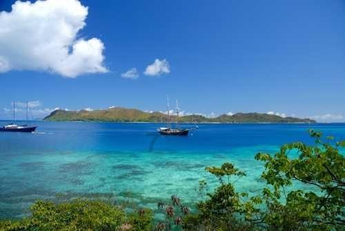春节携宠出行,别忘注意这些!